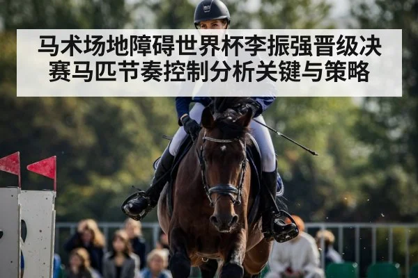 马术场地障碍世界杯李振强晋级决赛马匹节奏控制分析关键与策略（Xingkong yule）