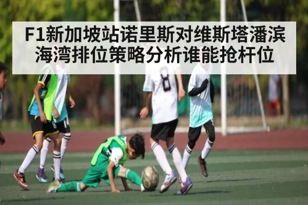 F1新加坡站诺里斯对维斯塔潘滨海湾排位策略分析谁能抢杆位 | Xingkong yule